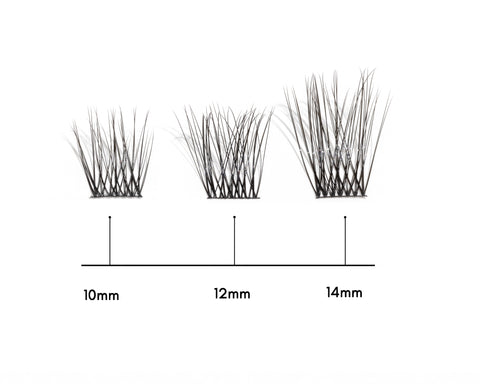 Bare Lash Segments Chart